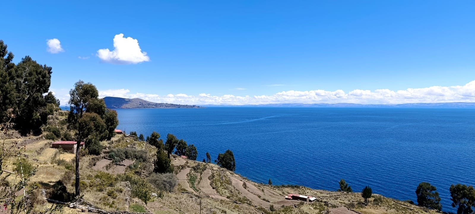 whatsapp image 2026 02 17 at 7.08.55 pm